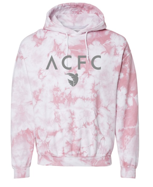 Pink tie dye online champion sweatshirt